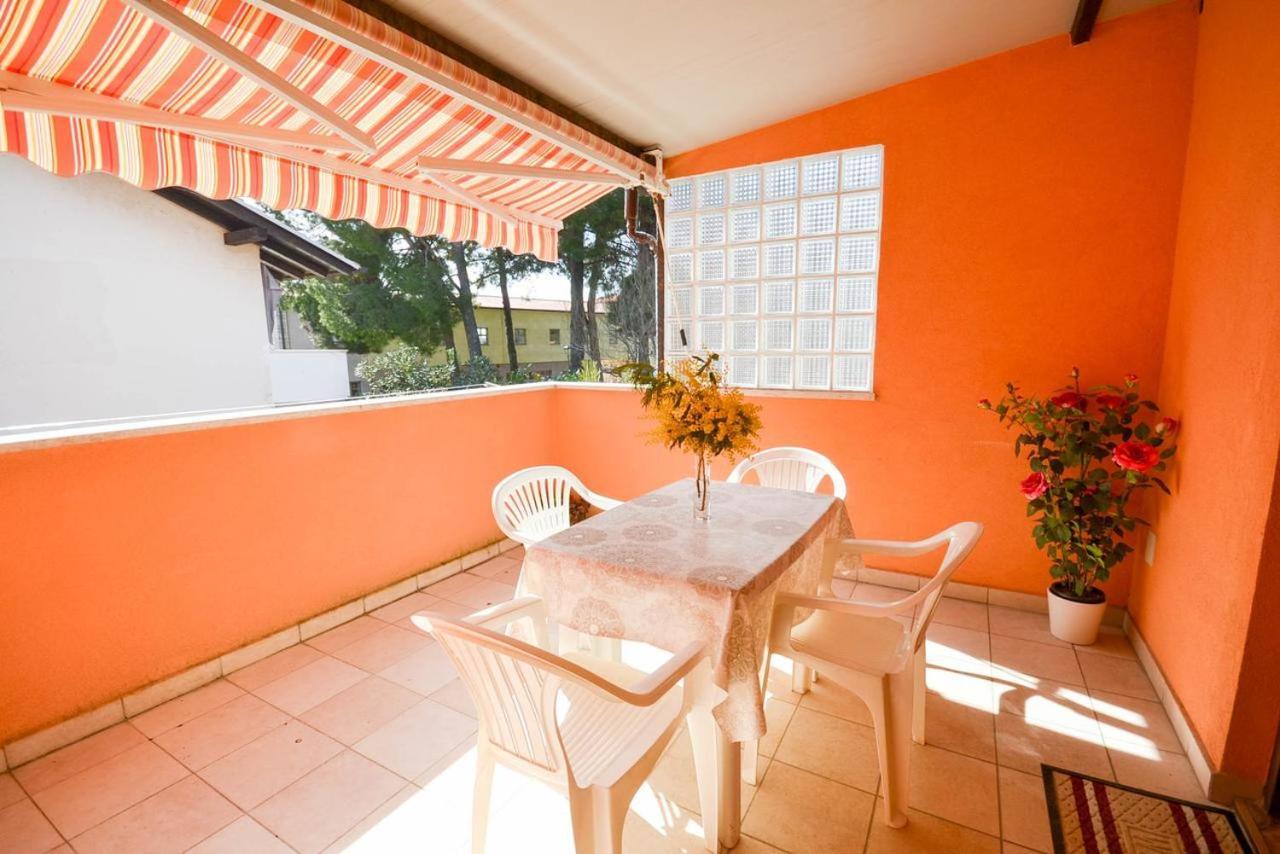 Lili Apartment Novigrad Istria Exterior foto