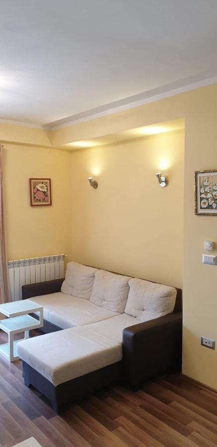 Lili Apartment Novigrad Istria Exterior foto